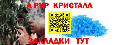 дживик Гай