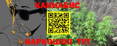 дживик Гай