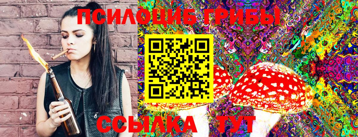 Галлюциногенные грибы Psilocybe  Псилоцибиновые грибы GOLDEN TEACHER  купить закладку  Вход с VPN  Павлово 