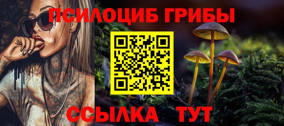 Галлюциногенные грибы Psilocybe Павлово